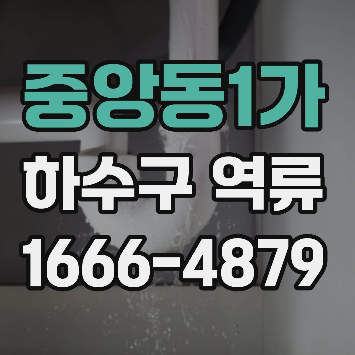 중앙동1가 하수구 역류