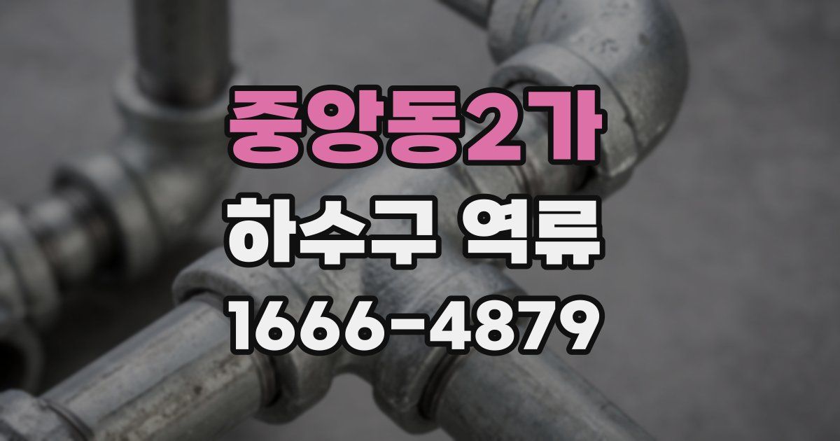 중앙동2가 하수구 역류