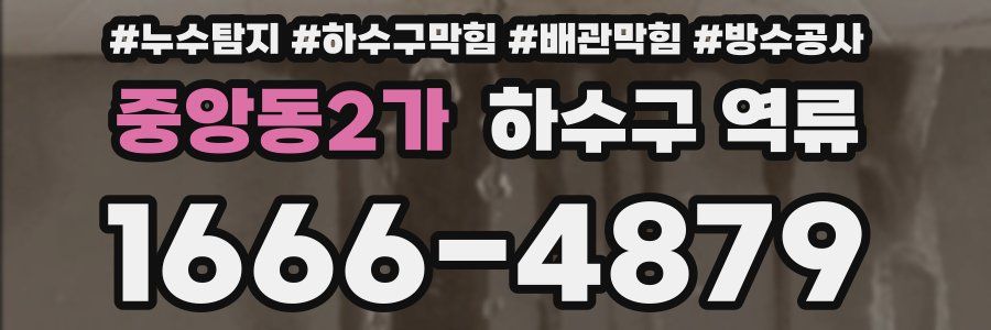 중앙동2가 하수구 역류