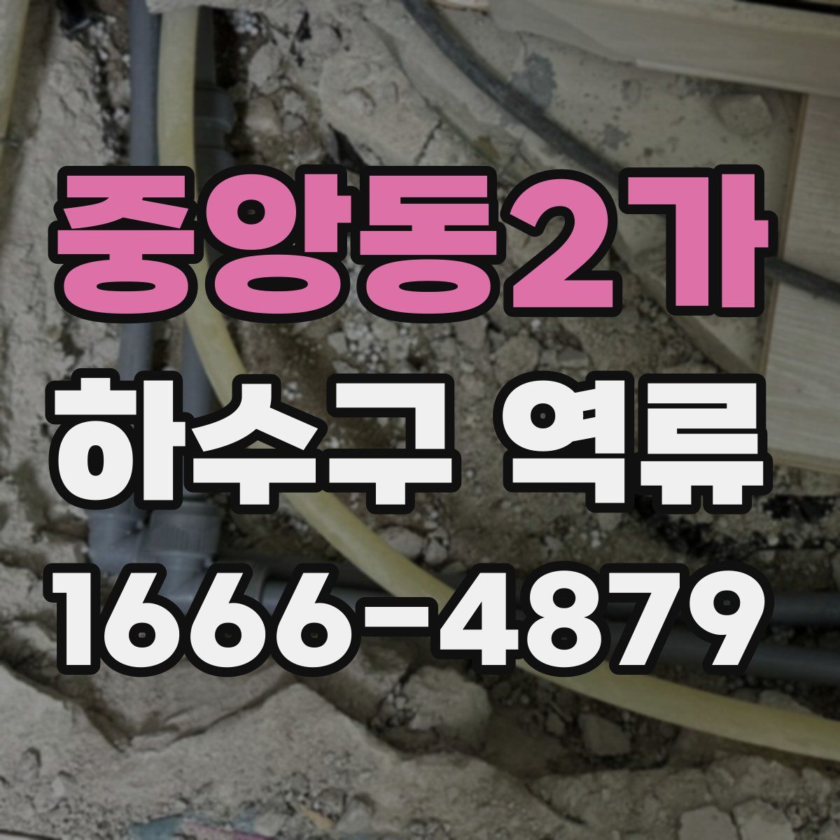 중앙동2가 하수구 역류