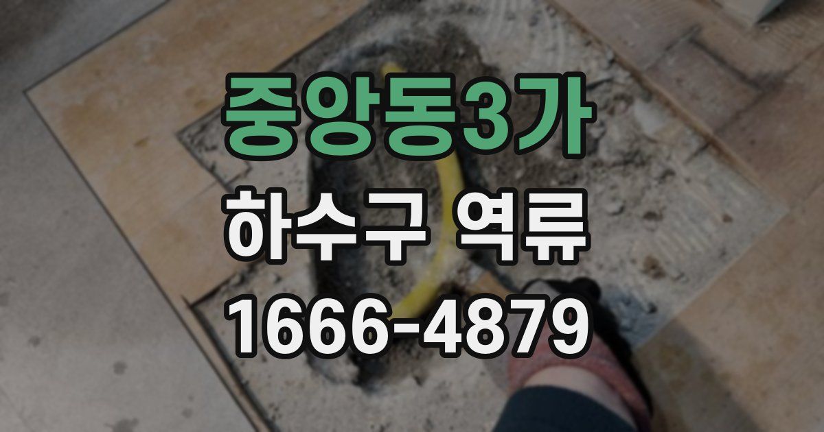 중앙동3가 하수구 역류