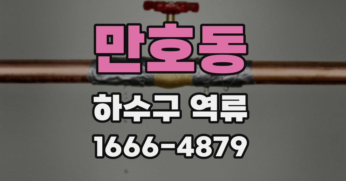 만호동 하수구 역류