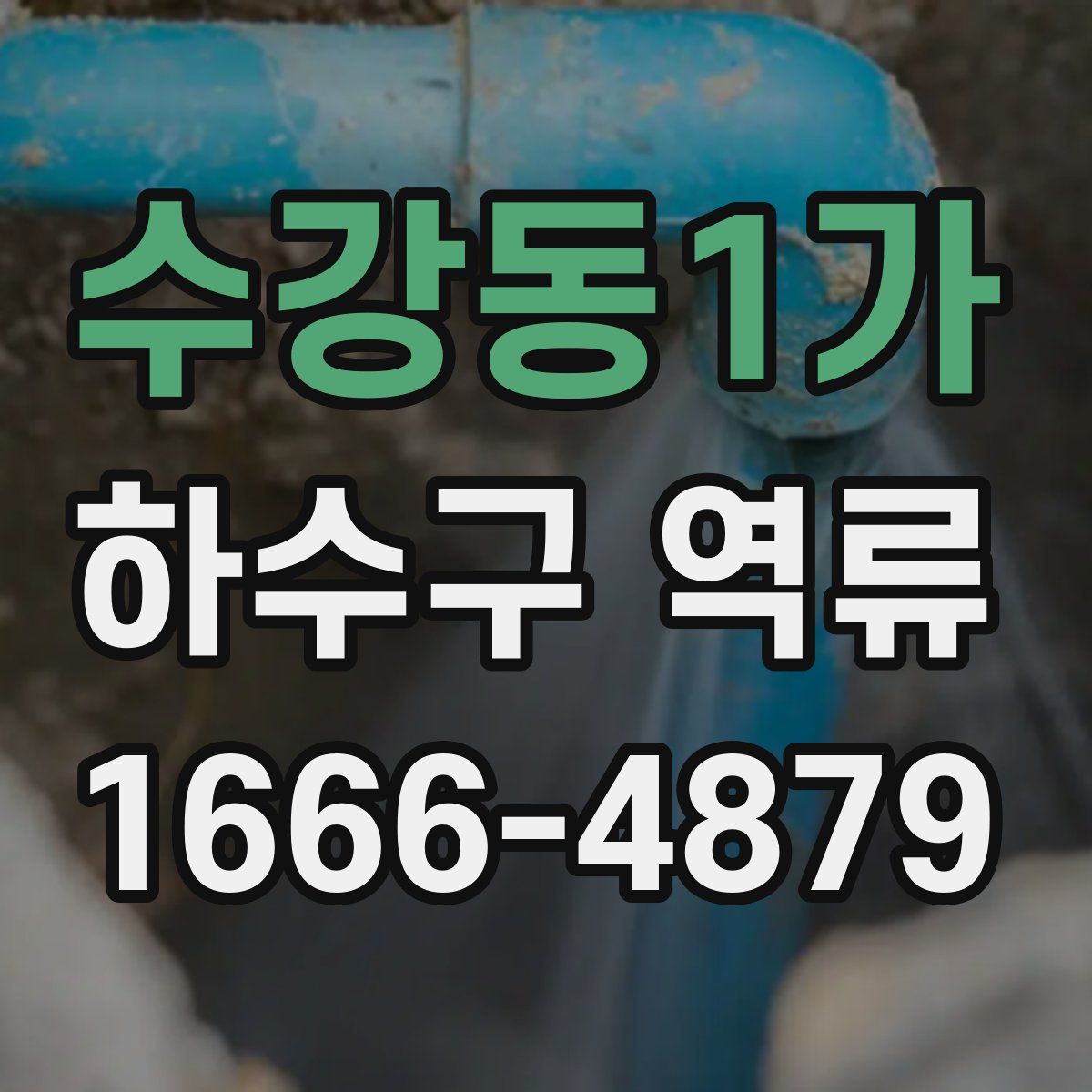 수강동1가 하수구 역류