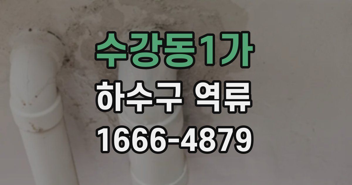 수강동1가 하수구 역류