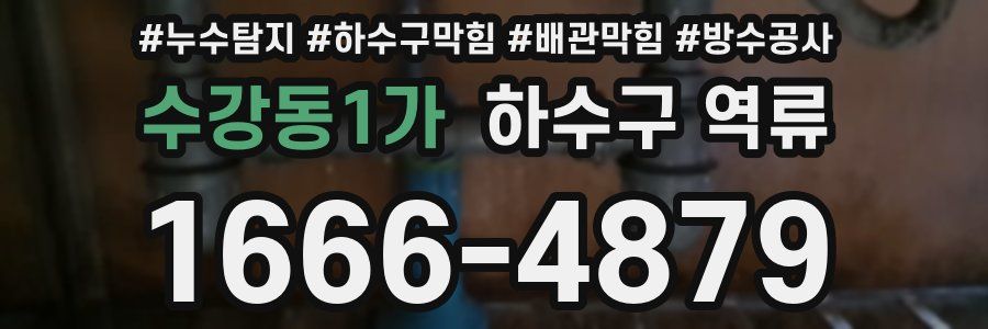 수강동1가 하수구 역류