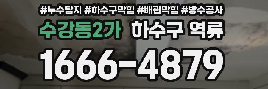 수강동2가 하수구 역류