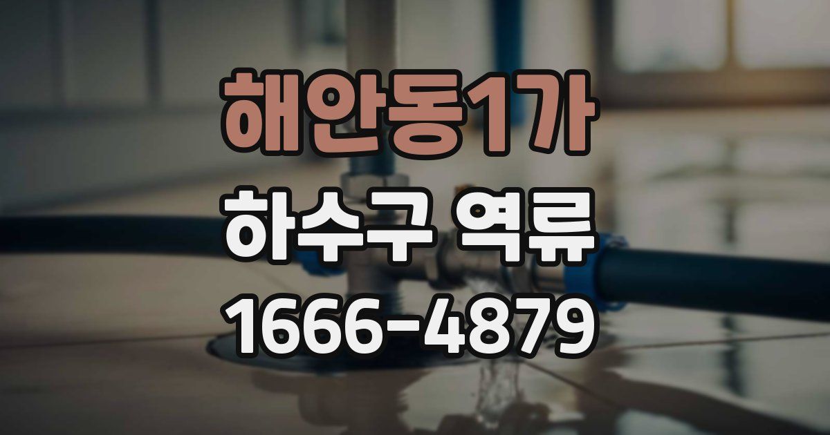 해안동1가 하수구 역류