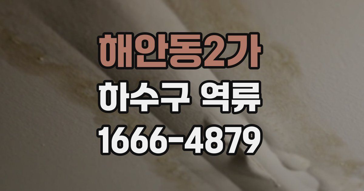 해안동2가 하수구 역류