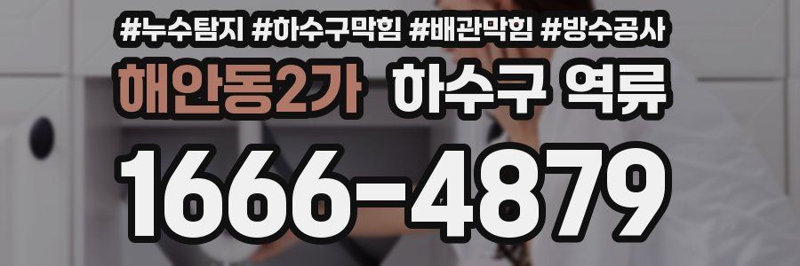 해안동2가 하수구 역류