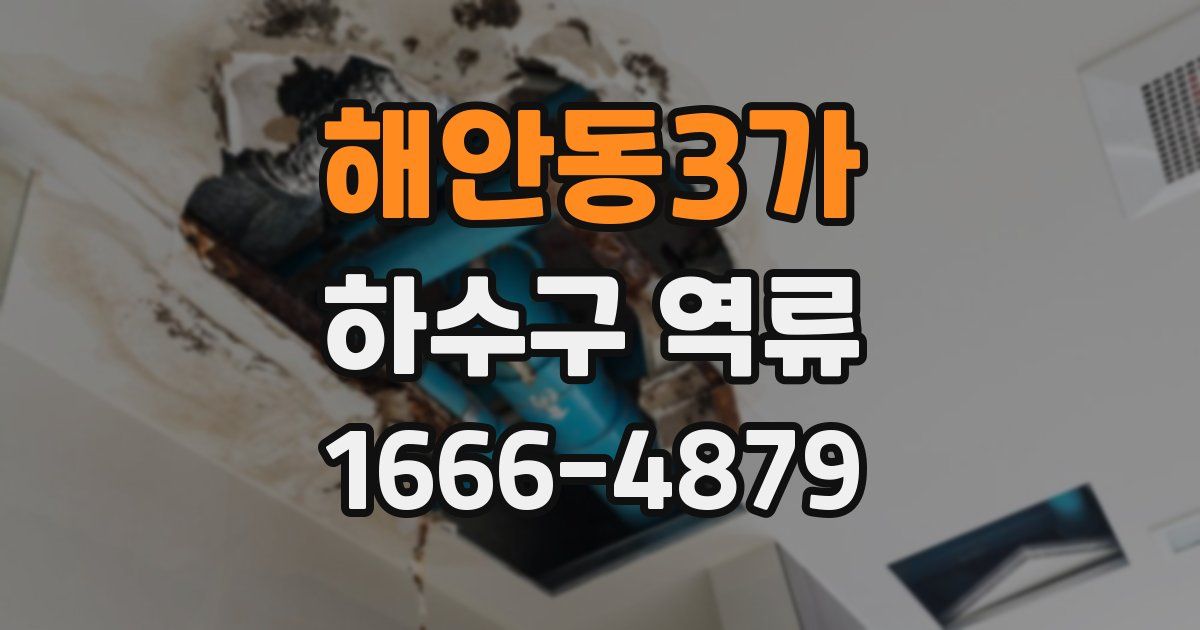 해안동3가 하수구 역류