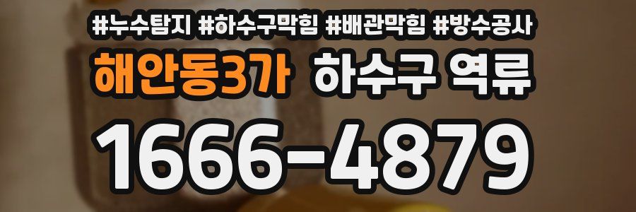 해안동3가 하수구 역류
