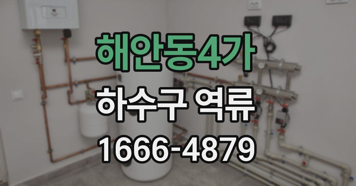 해안동4가 하수구 역류