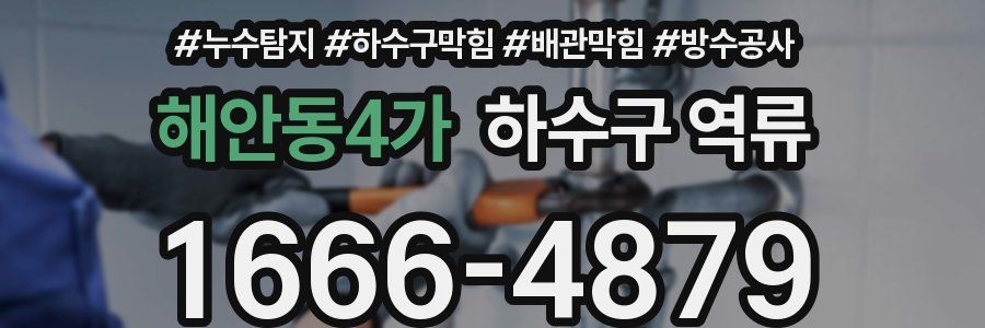 해안동4가 하수구 역류