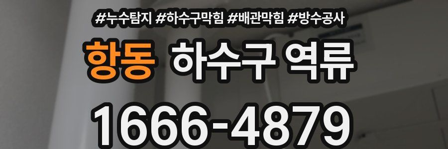 항동 하수구 역류