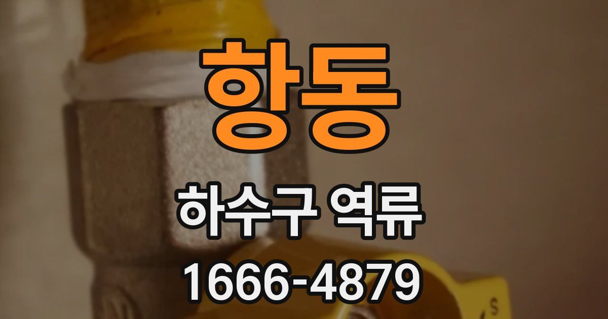 항동 하수구 역류