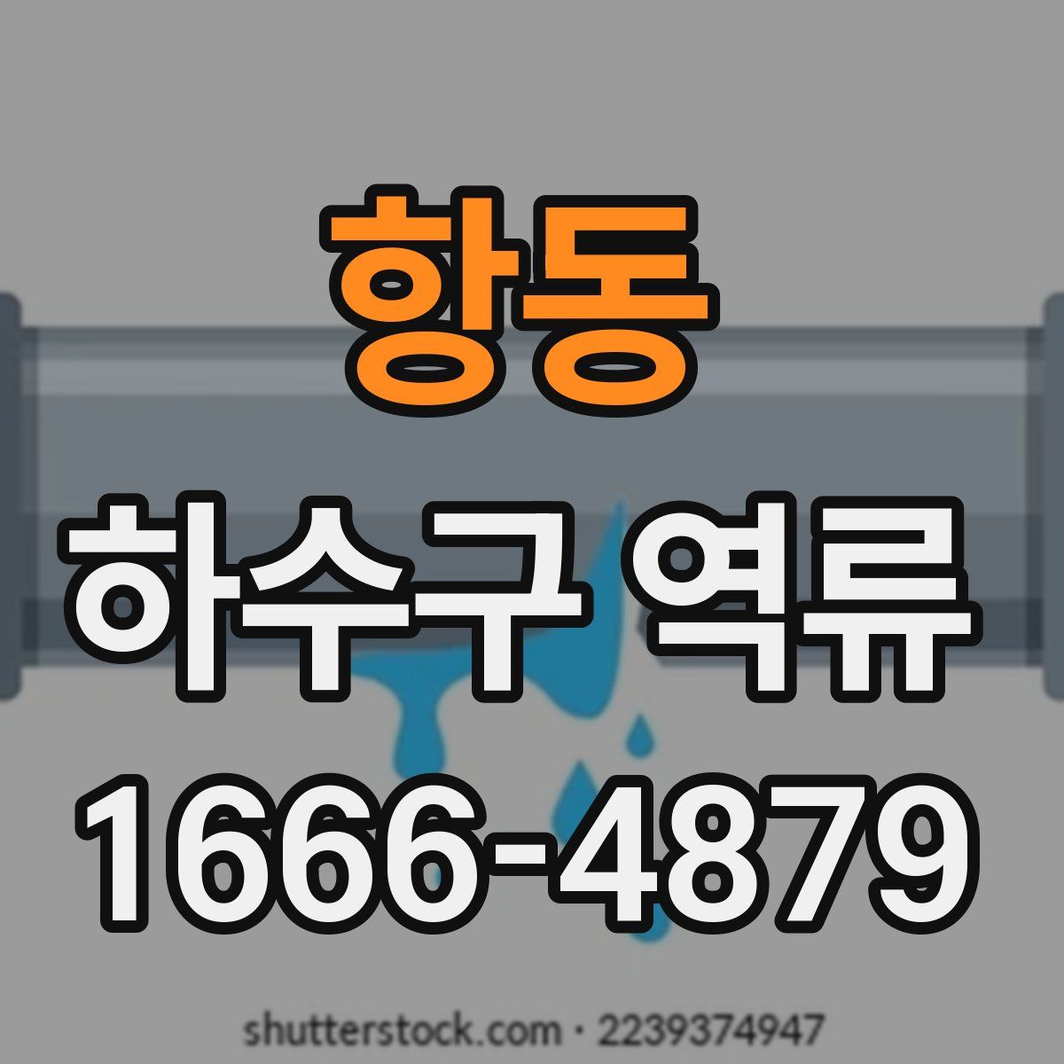 항동 하수구 역류