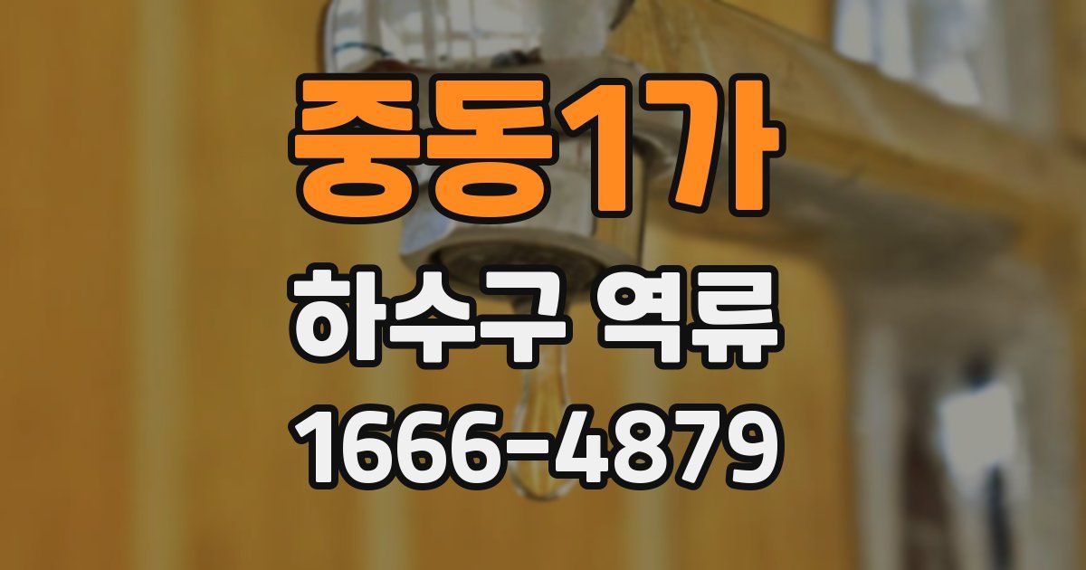 중동1가 하수구 역류