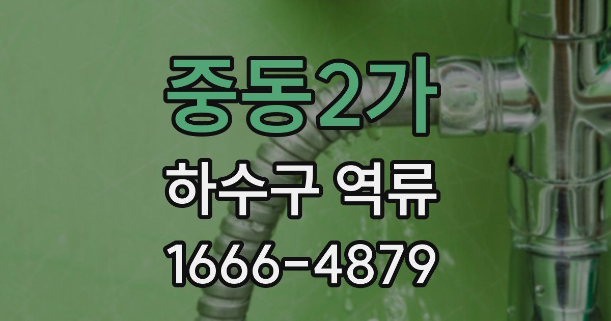 중동2가 하수구 역류