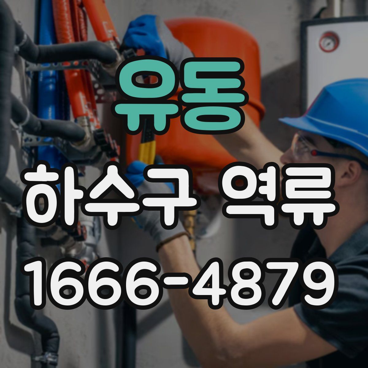 유동 하수구 역류