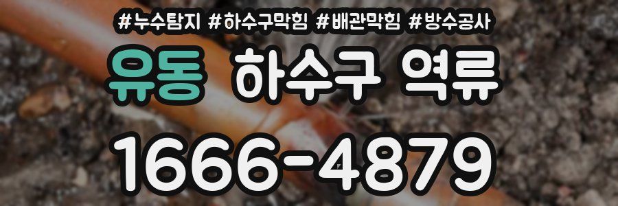 유동 하수구 역류