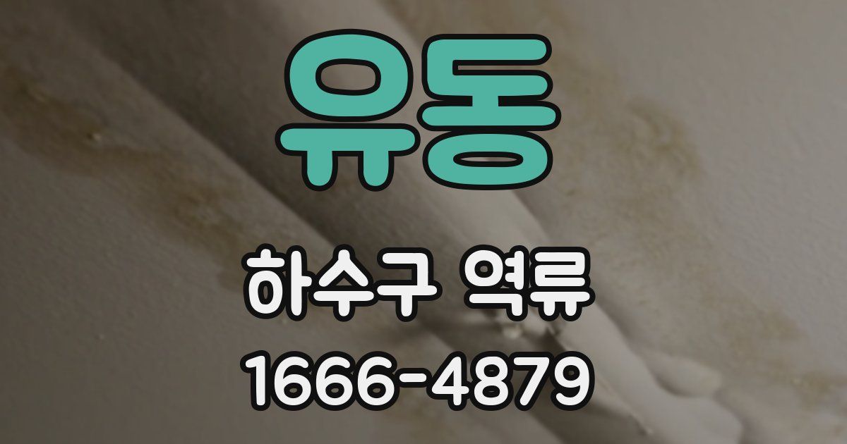 유동 하수구 역류