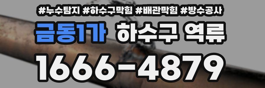 금동1가 하수구 역류