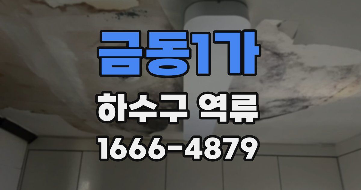금동1가 하수구 역류