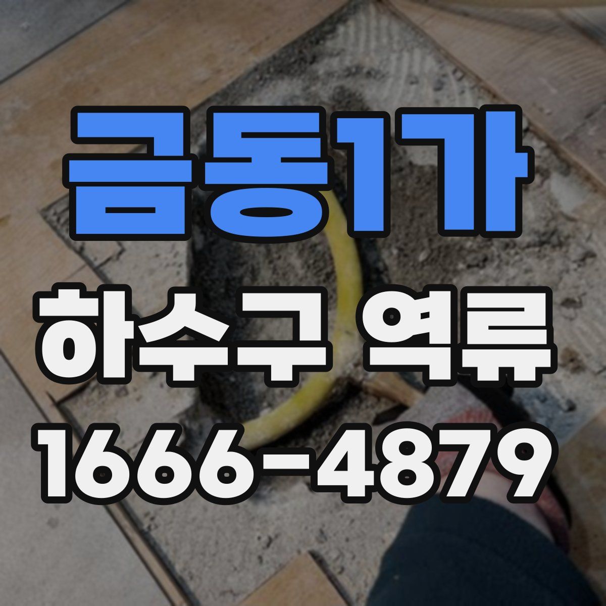 금동1가 하수구 역류