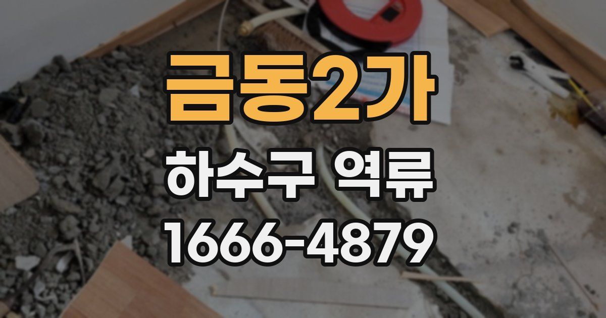 금동2가 하수구 역류