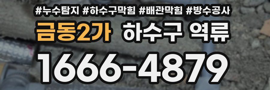 금동2가 하수구 역류