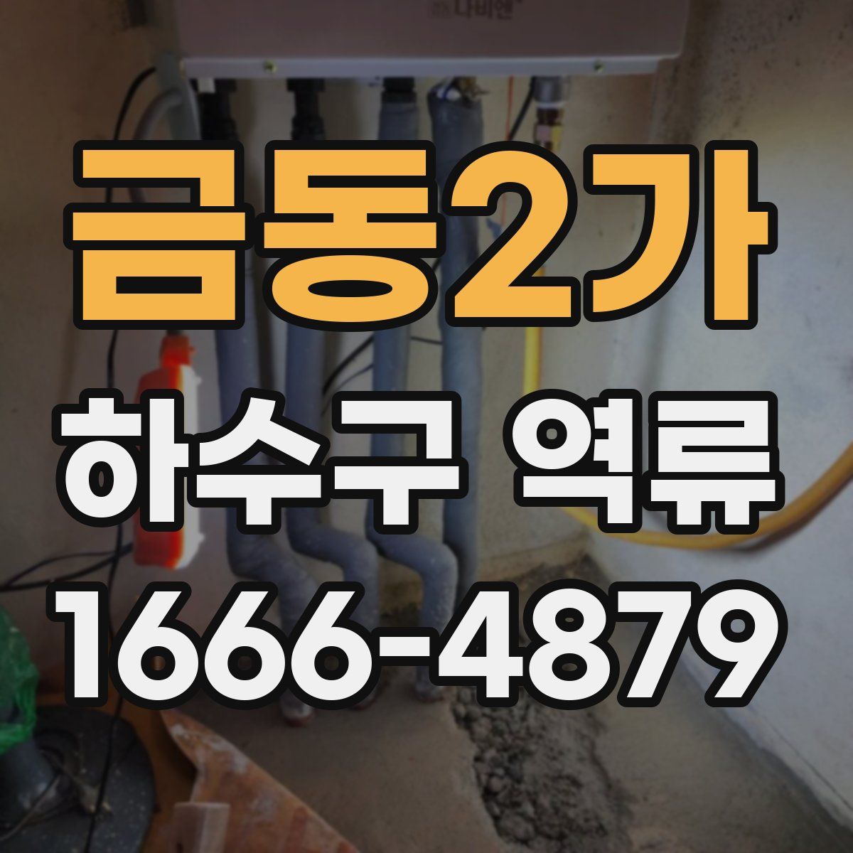 금동2가 하수구 역류