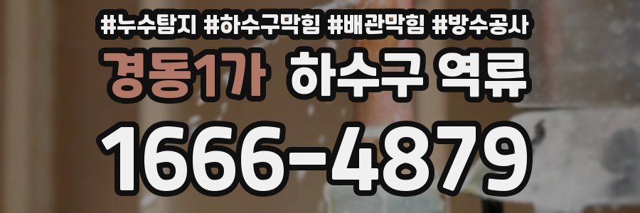 경동1가 하수구 역류
