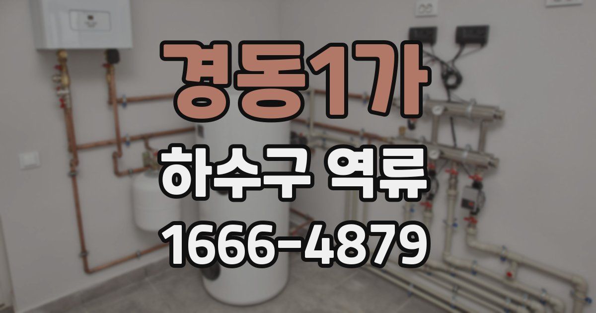 경동1가 하수구 역류