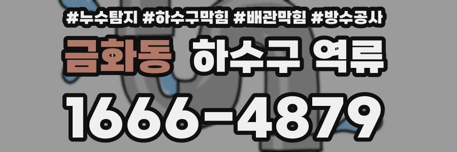 금화동 하수구 역류