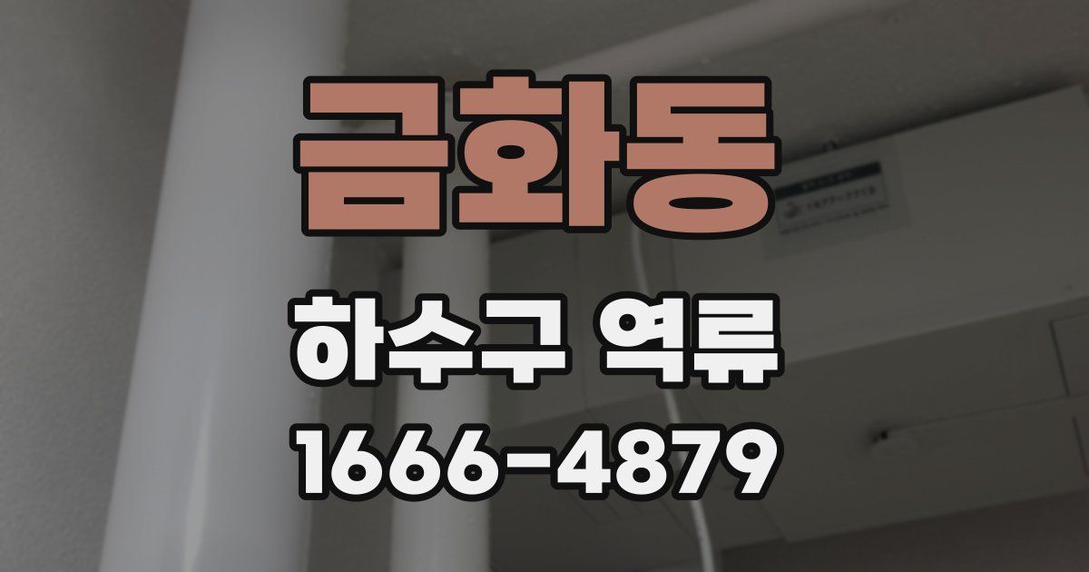 금화동 하수구 역류
