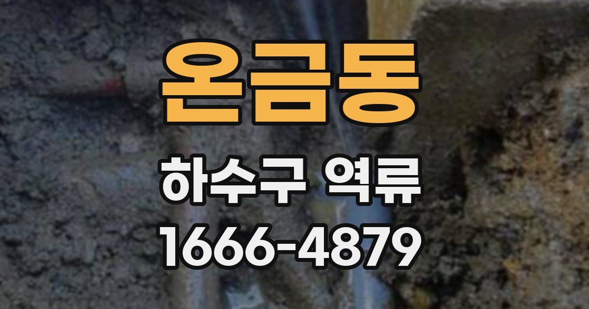온금동 하수구 역류