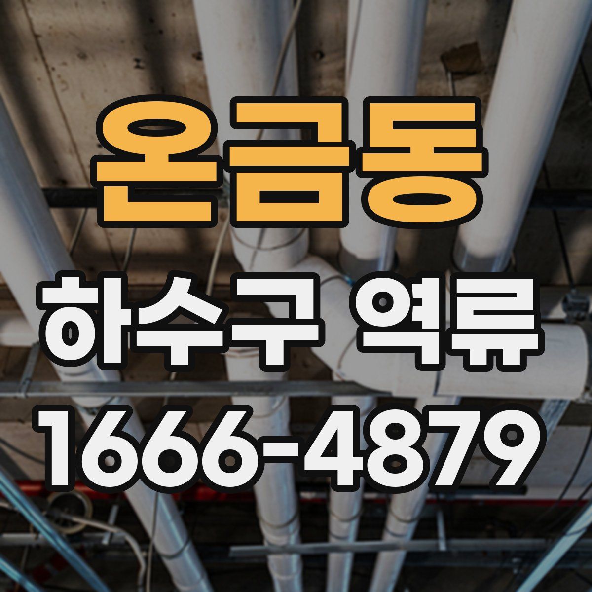 온금동 하수구 역류