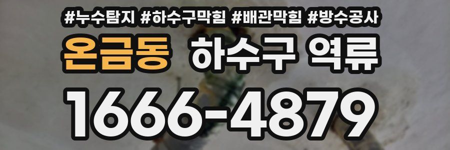 온금동 하수구 역류