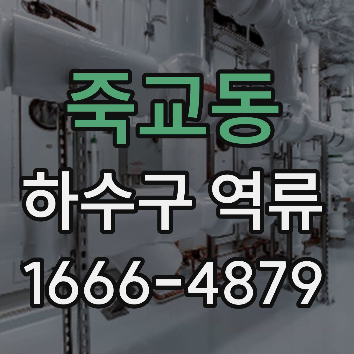 죽교동 하수구 역류