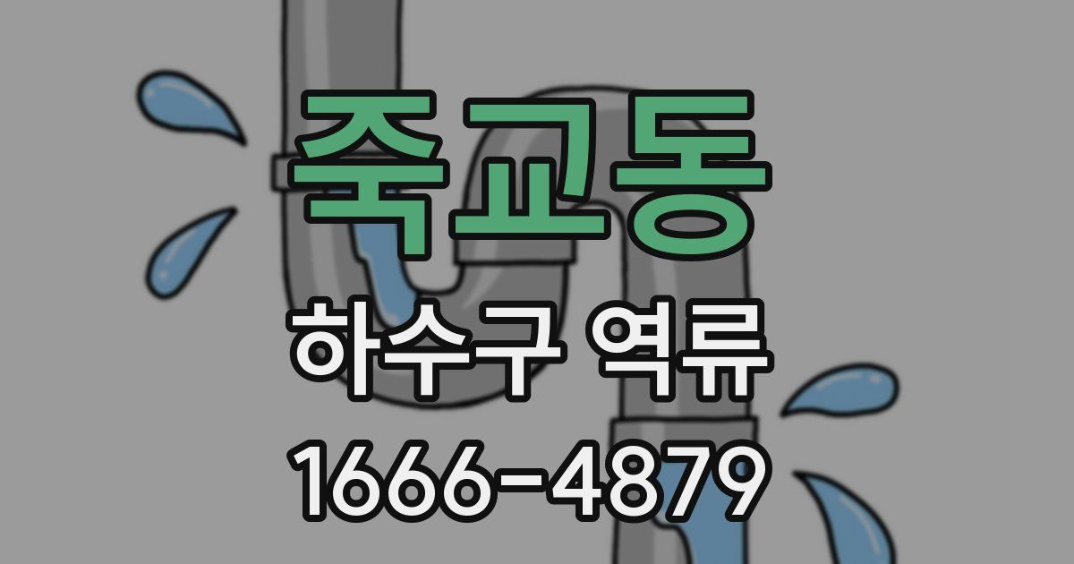 죽교동 하수구 역류