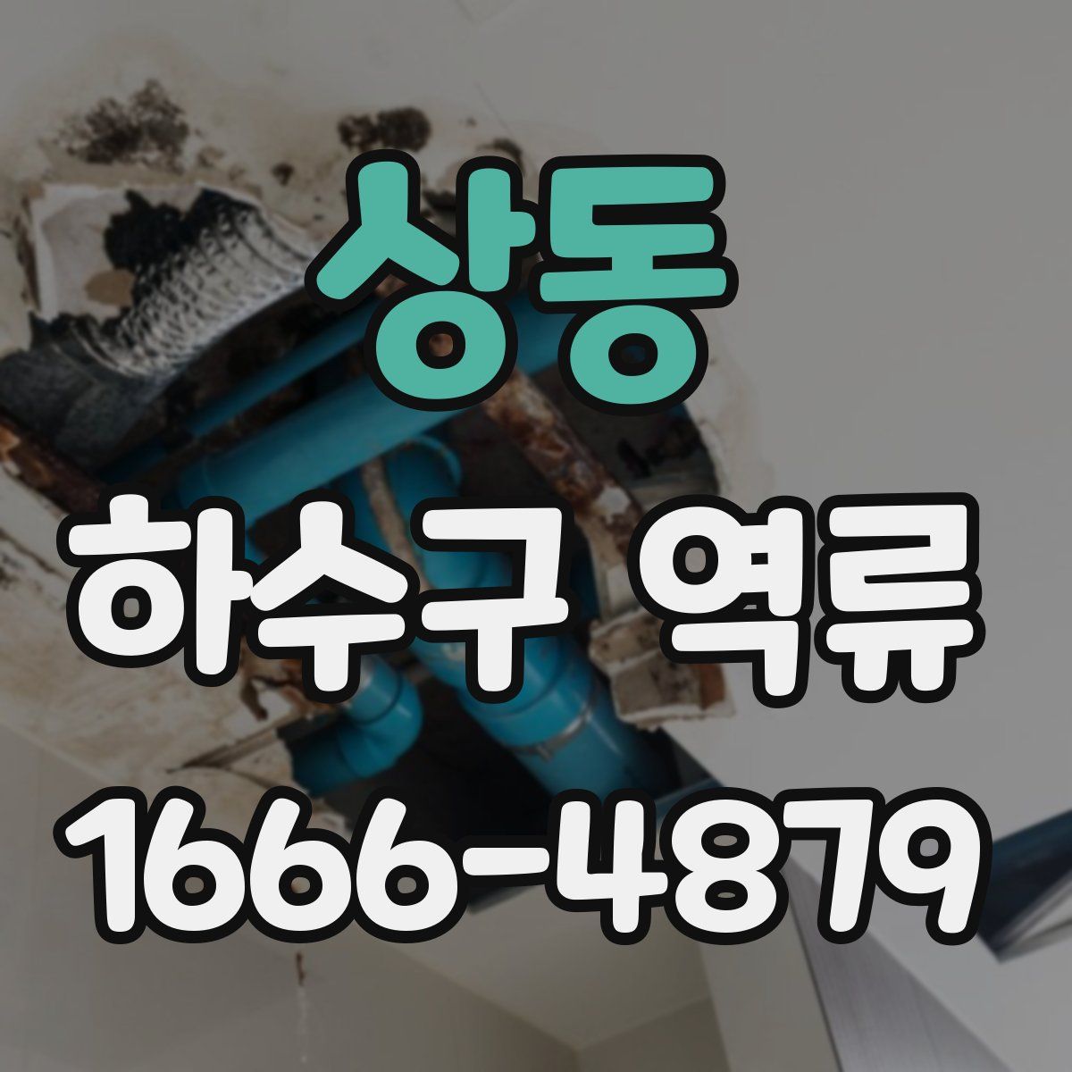 상동 하수구 역류