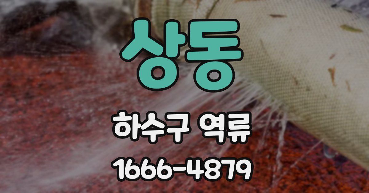 상동 하수구 역류
