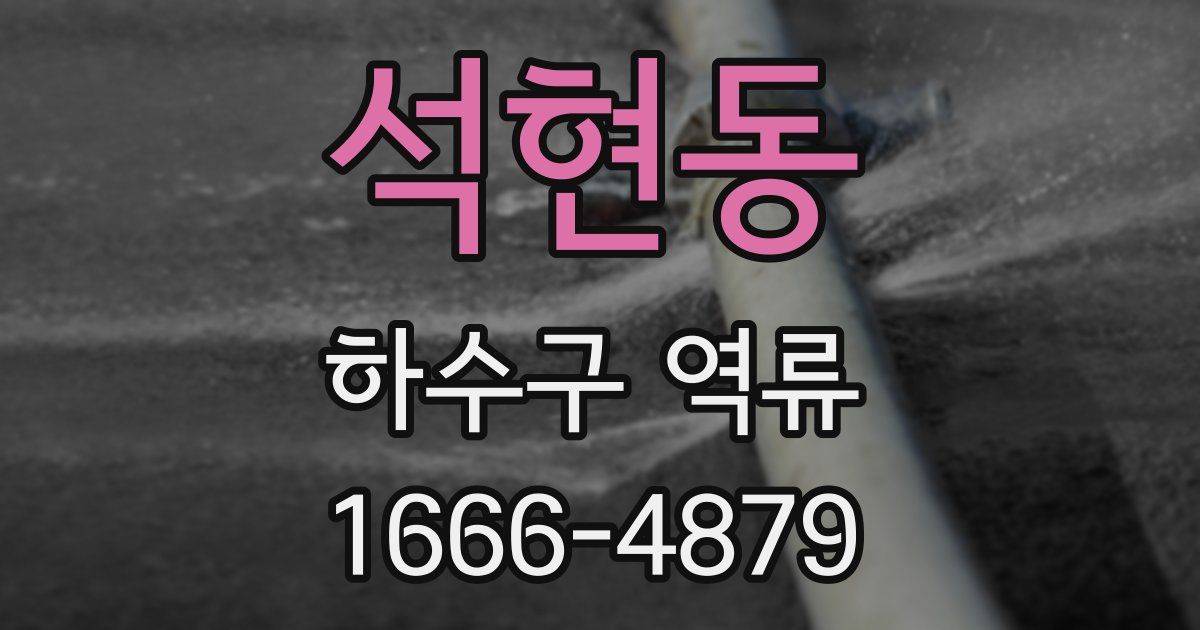 석현동 하수구 역류