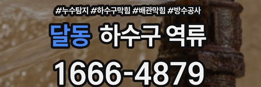 달동 하수구 역류