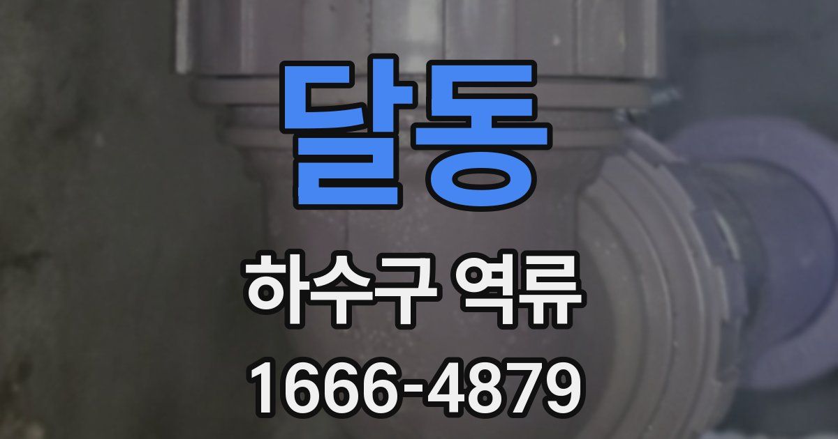 달동 하수구 역류