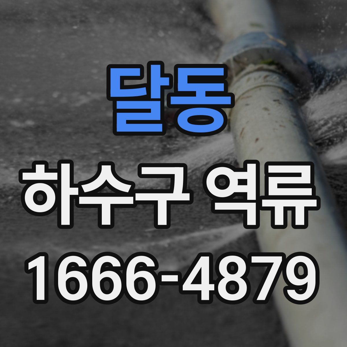 달동 하수구 역류