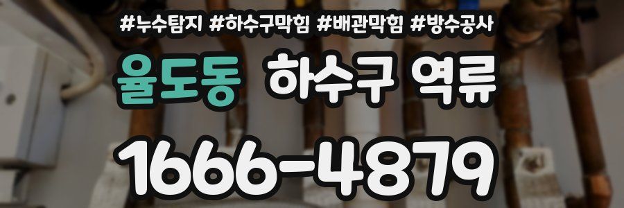 율도동 하수구 역류