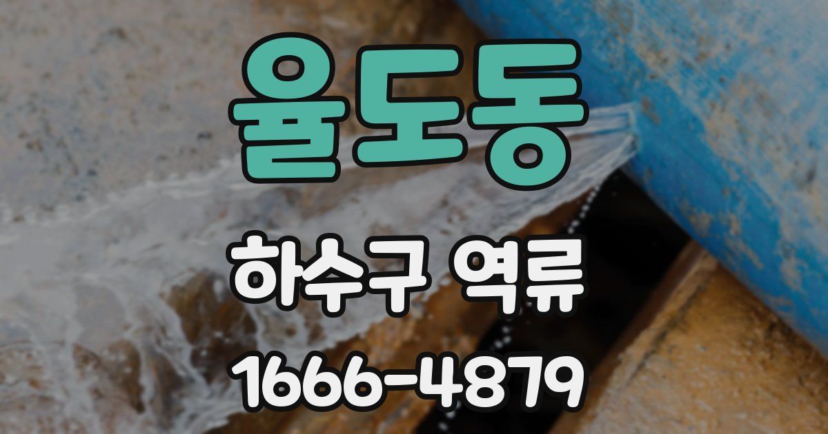 율도동 하수구 역류