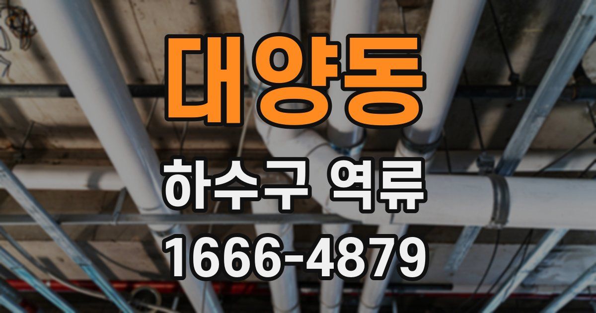 대양동 하수구 역류