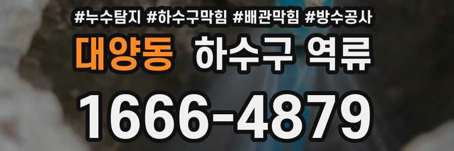 대양동 하수구 역류